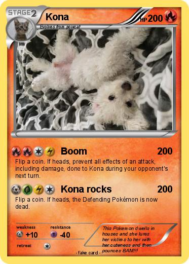 Pokemon Kona