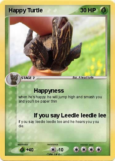 Pokemon Happy Turtle