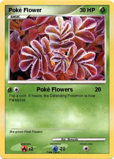 Pokemon Poké Flower