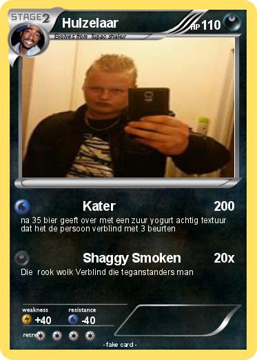 Pokemon Hulzelaar