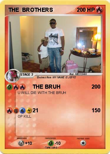 Pokemon THE  BROTHERS