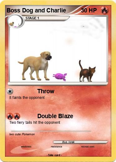 Pokemon Boss Dog and Charlie