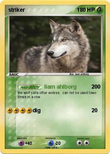 Pokemon striker