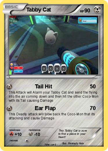 Pokemon Tabby Cat