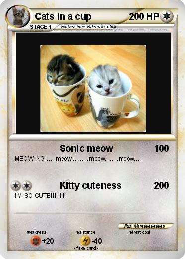 Pokemon Cats in a cup