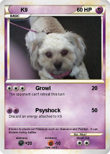 Pokemon K9