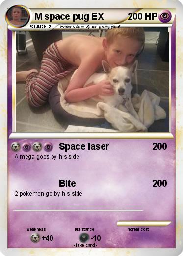 Pokemon M space pug EX