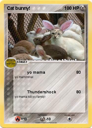 Pokemon Cat bunny!