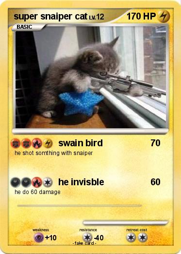 Pokemon super snaiper cat