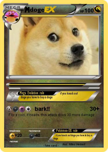 Pokemon doge