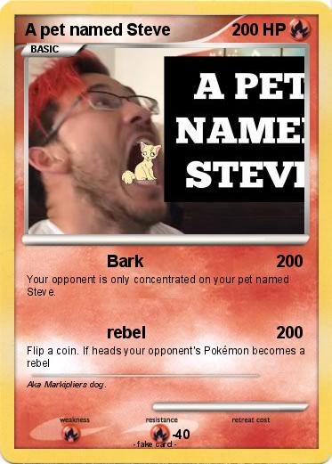 Pokemon A pet named Steve