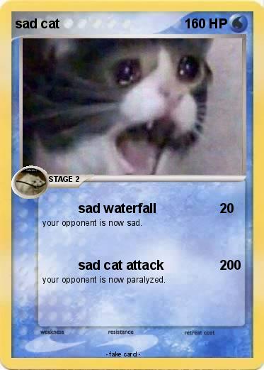Pokemon sad cat