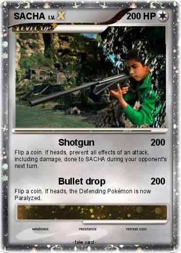 Pokemon SACHA