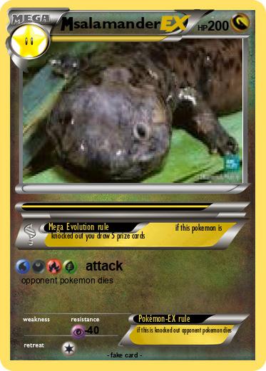 Pokemon salamander
