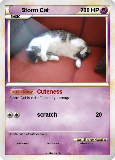 Pokemon Storm Cat