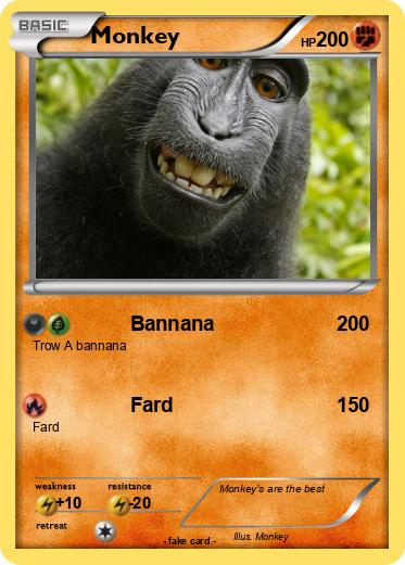 Pokemon Monkey