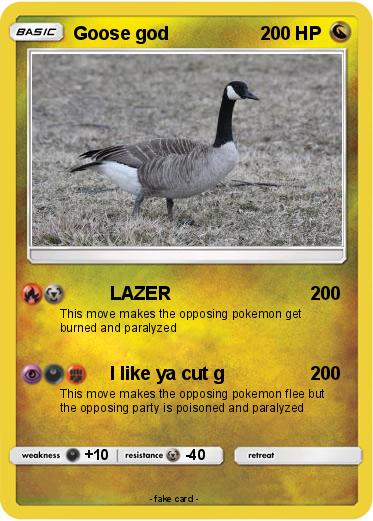 Pokemon Goose god