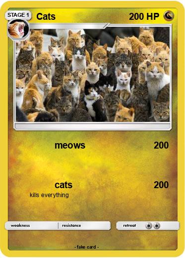 Pokemon Cats
