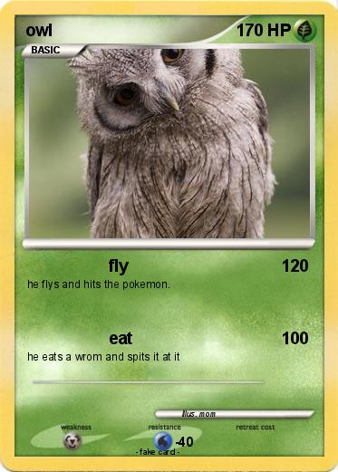 Pokemon owl