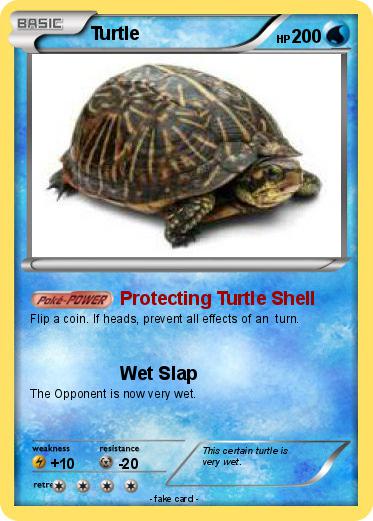 Pokemon Turtle