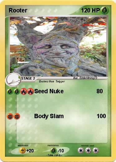 Pokemon Rooter