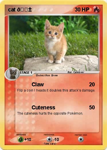 Pokemon cat ????