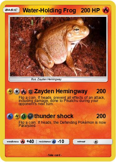 Pokemon Water-Holding Frog