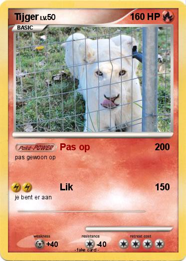 Pokemon Tijger
