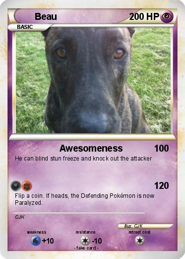 Pokemon Beau