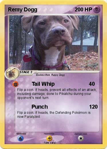 Pokemon Remy Dogg