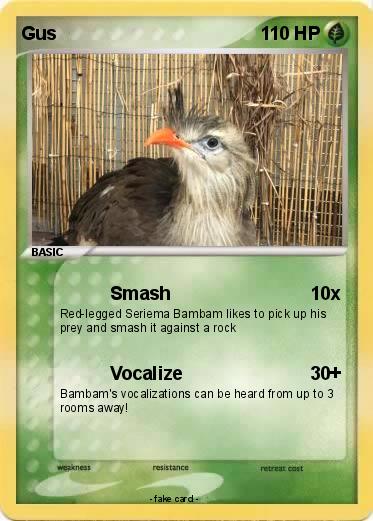 Pokemon Gus