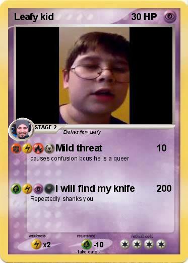 Pokemon Leafy kid