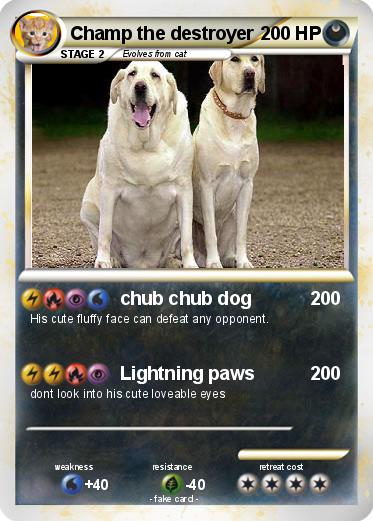 Pokemon Champ the destroyer