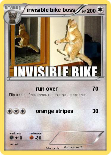 Pokemon invisible bike boss