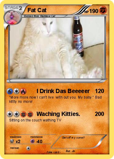 Pokemon Fat Cat