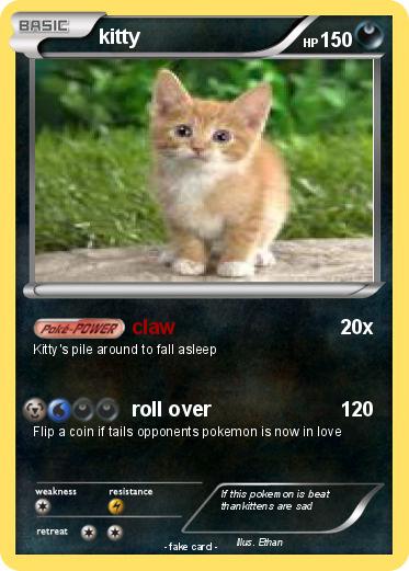 Pokemon kitty