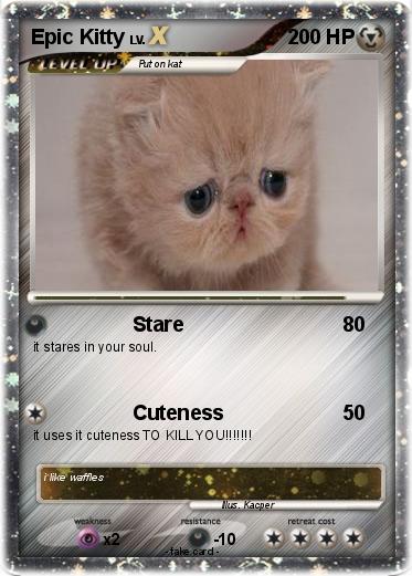 Pokemon Epic Kitty