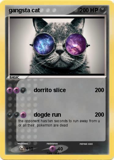 Pokemon gangsta cat