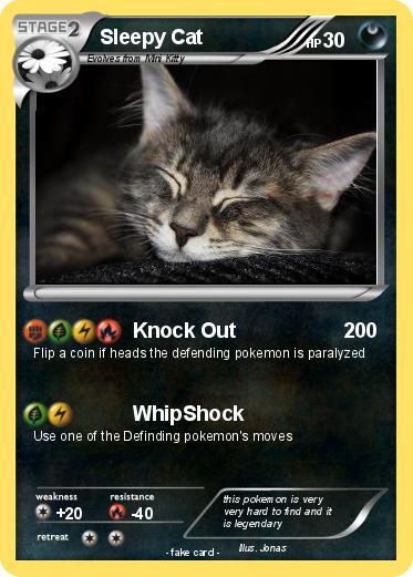 Pokemon Sleepy Cat