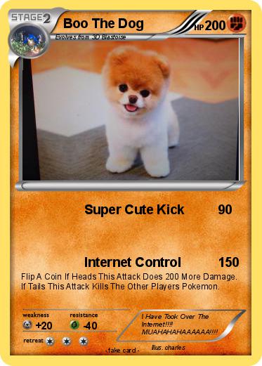 Pokemon Boo The Dog