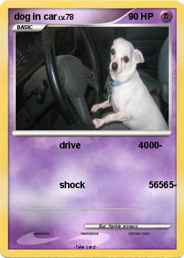 Pokemon dog in car