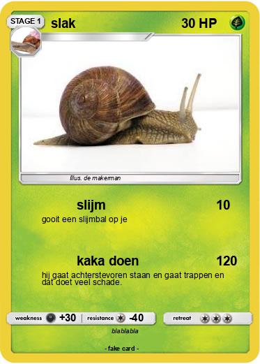 Pokemon slak