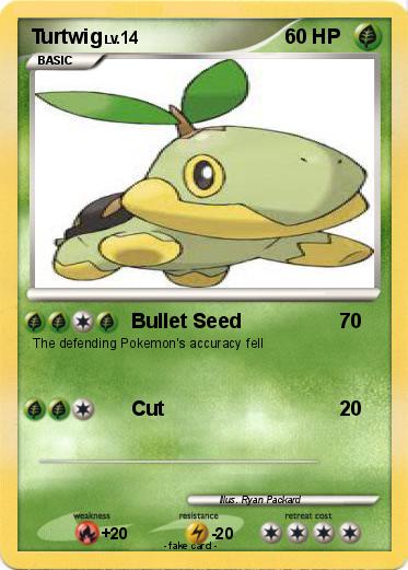 Pokemon Turtwig