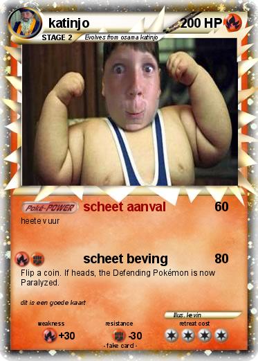 Pokemon katinjo