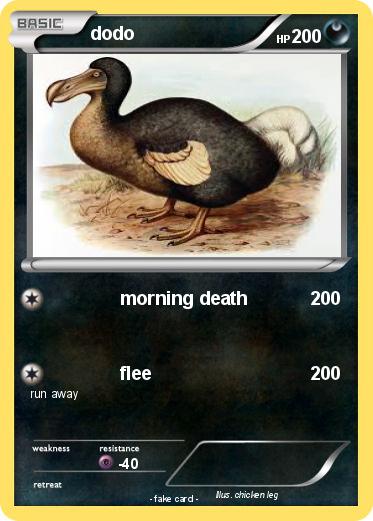 Pokemon dodo
