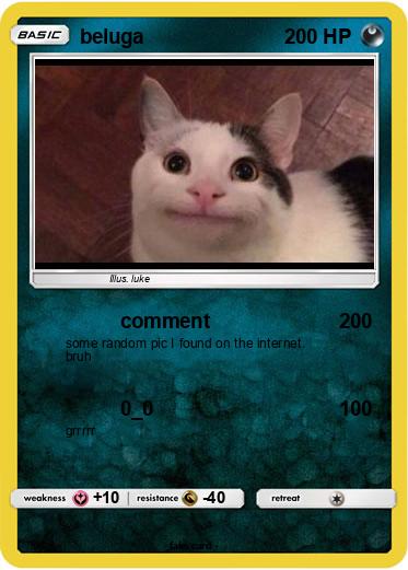 Pokemon beluga