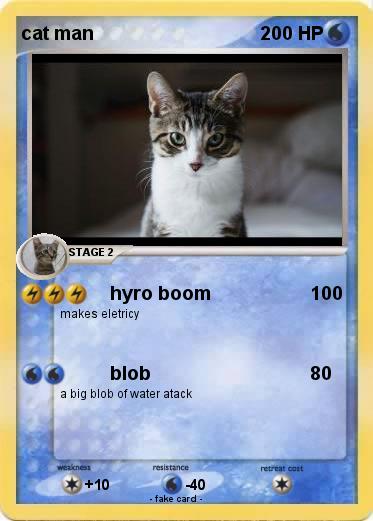 Pokemon cat man