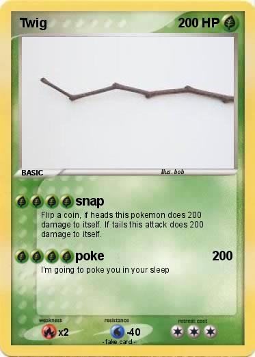 Pokemon Twig
