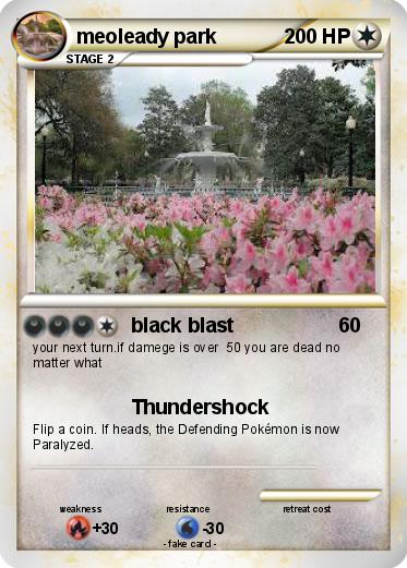 Pokemon meoleady park