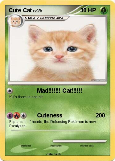 Pokemon Cute Cat